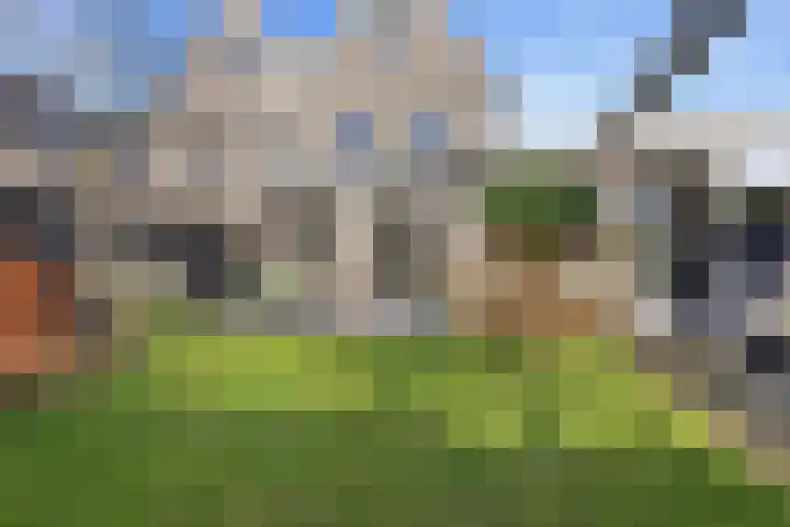 Melcolaan 33 Heiloo thumbnail 44