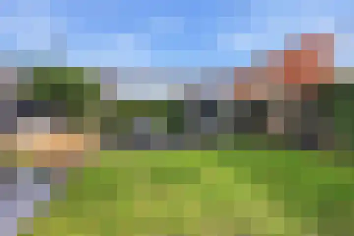 Melcolaan 33 Heiloo thumbnail 48
