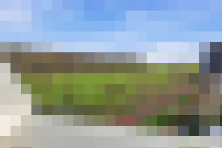Melcolaan 33 Heiloo thumbnail 55