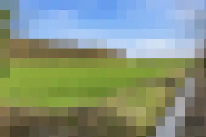 Melcolaan 33 Heiloo thumbnail 59