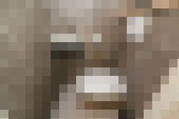 Melde 12 Reeuwijk thumbnail 14