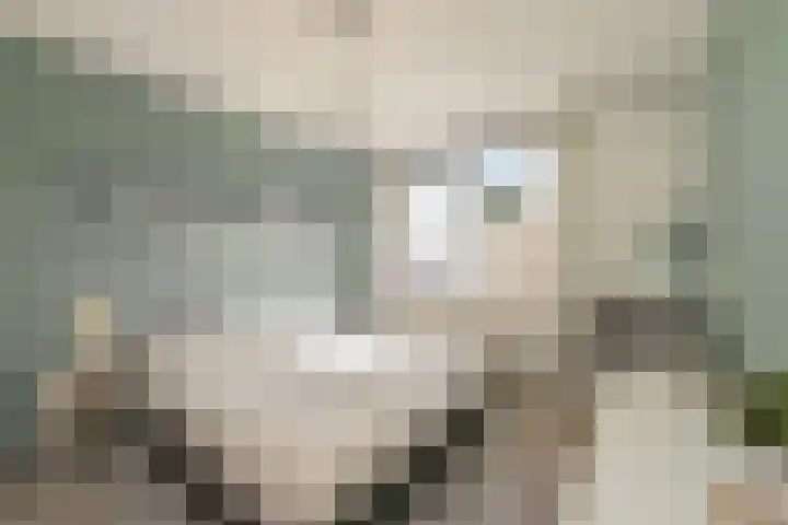 Melde 12 Reeuwijk thumbnail 16