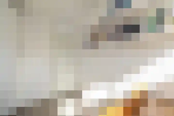 Melde 12 Reeuwijk thumbnail 19