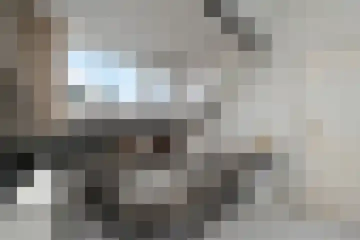 Melde 12 Reeuwijk thumbnail 28