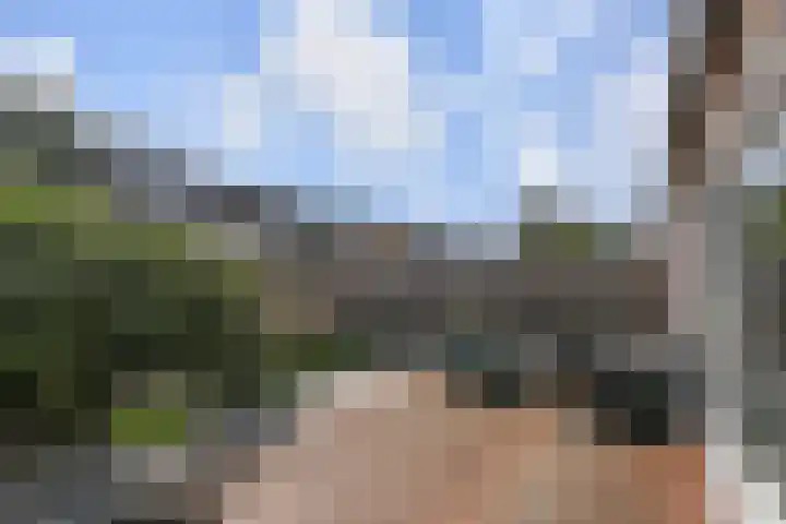 Melde 12 Reeuwijk thumbnail 29