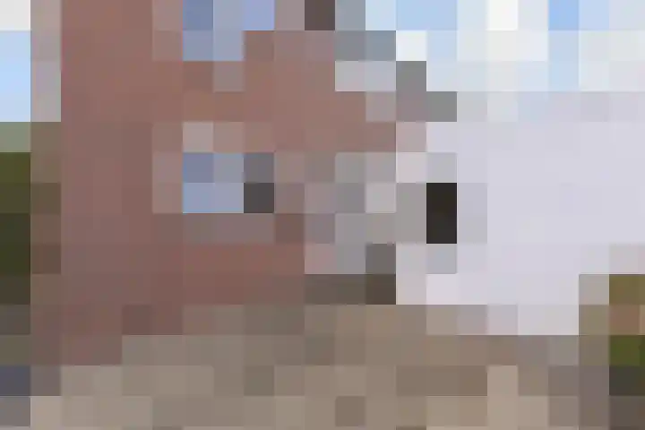 Melde 12 Reeuwijk thumbnail 33