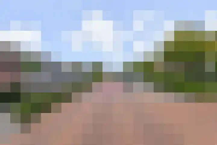 Melde 12 Reeuwijk thumbnail 36