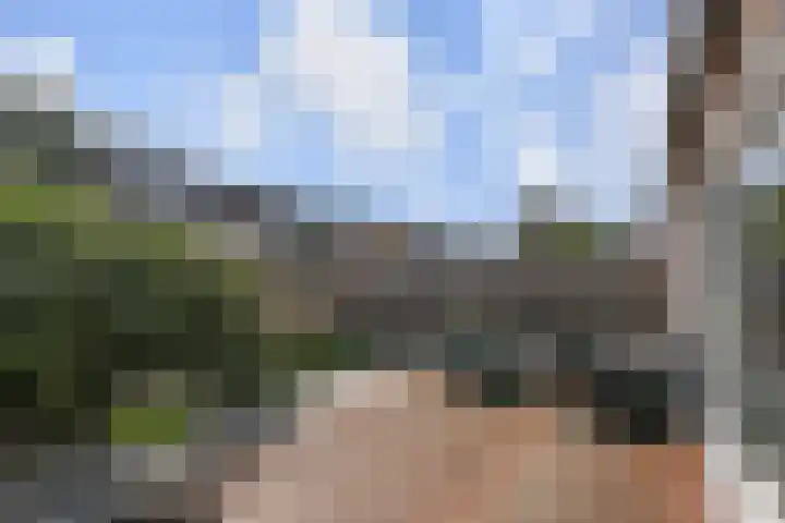 Melde 12 Reeuwijk thumbnail 4