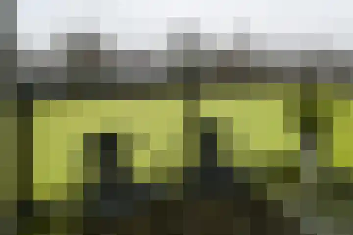 Melde 33 Uithoorn thumbnail 10