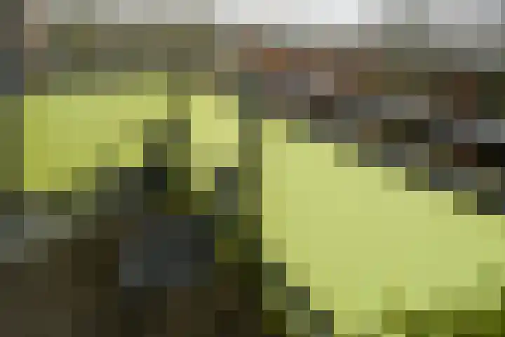Melde 33 Uithoorn thumbnail 11