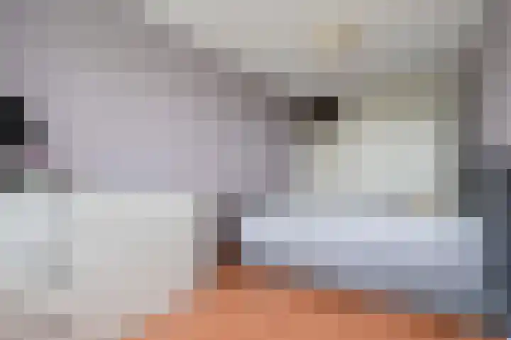 Melde 33 Uithoorn thumbnail 13