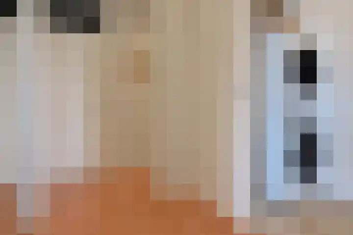 Melde 33 Uithoorn thumbnail 18
