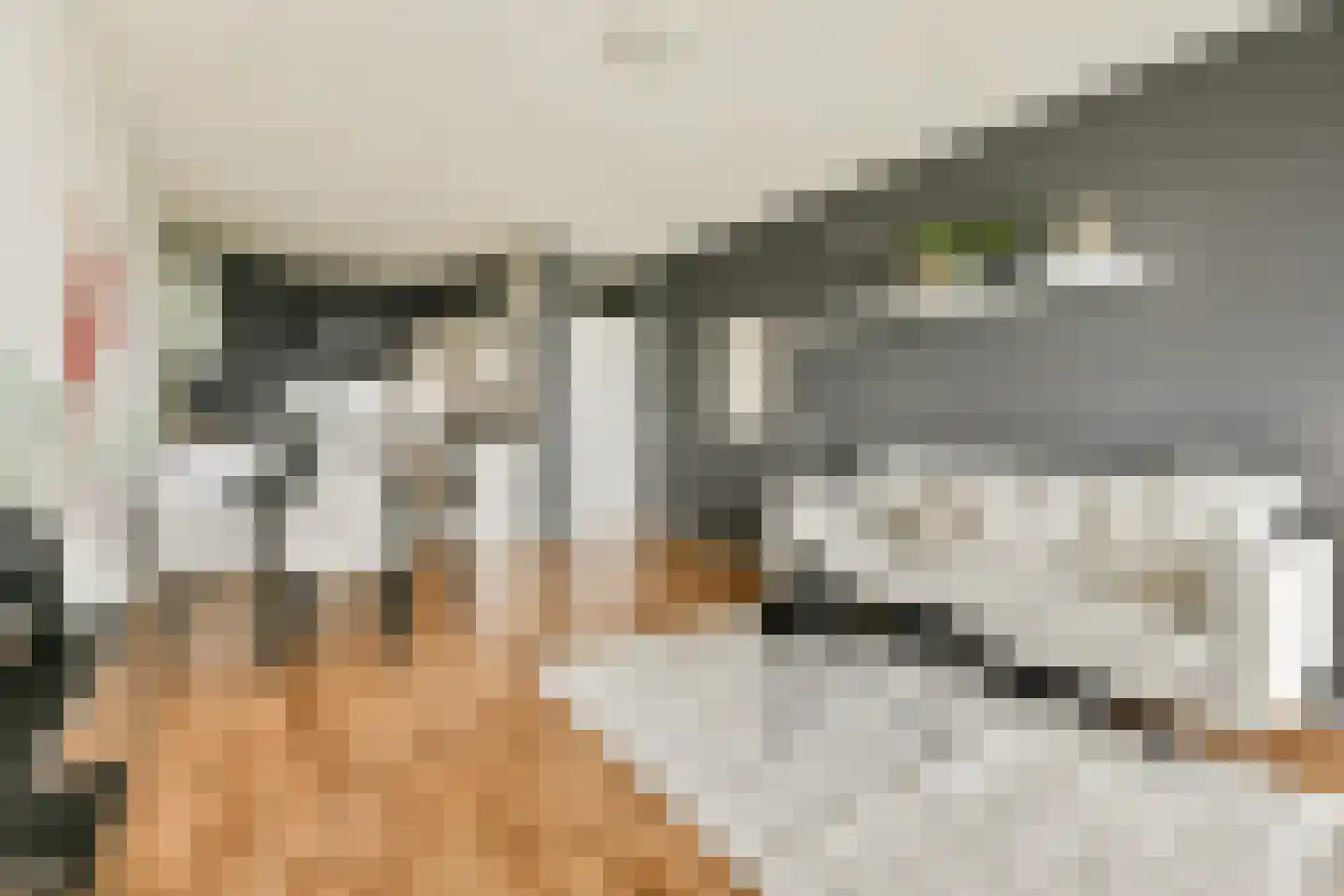 Melde 45 Uithoorn thumbnail 10