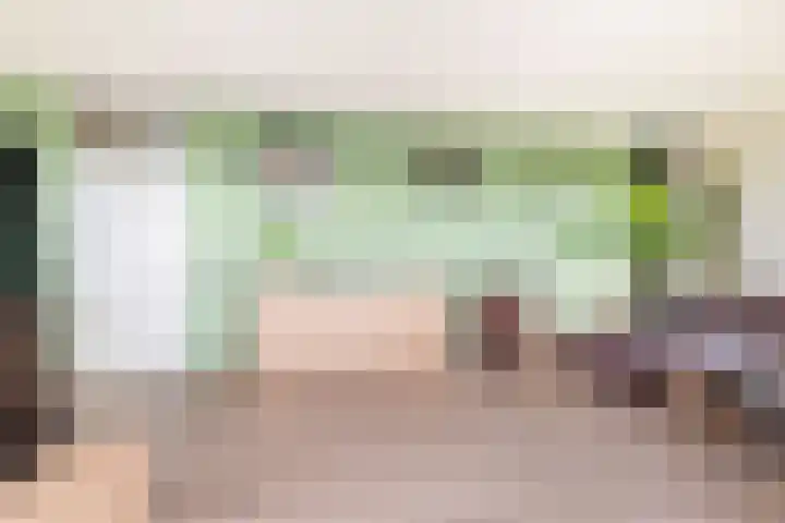 Melde 63 Uithoorn thumbnail 10