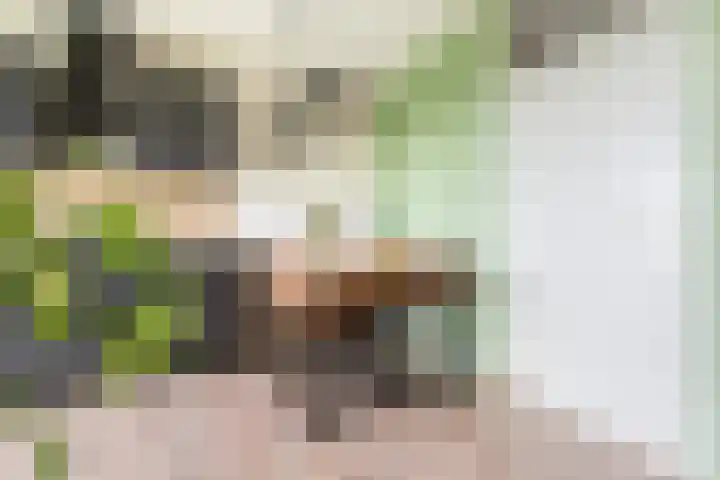 Melde 63 Uithoorn thumbnail 15
