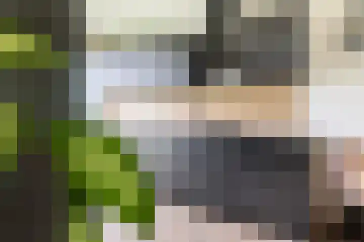 Melde 63 Uithoorn thumbnail 18