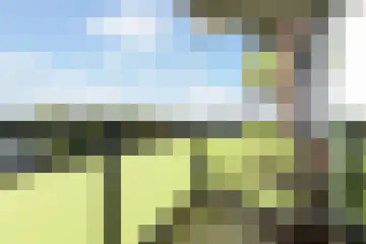 Melde 63 Uithoorn thumbnail 20