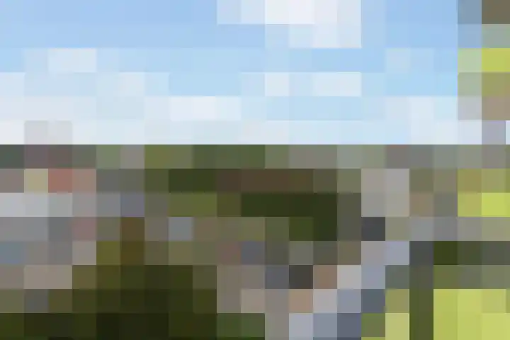 Melde 63 Uithoorn thumbnail 21