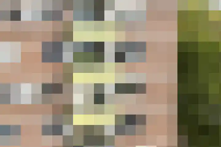 Melde 63 Uithoorn thumbnail 22