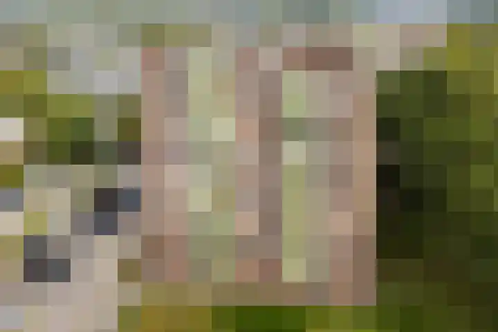 Melde 63 Uithoorn thumbnail 4