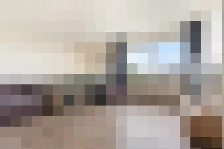 Melde 63 Uithoorn thumbnail 9