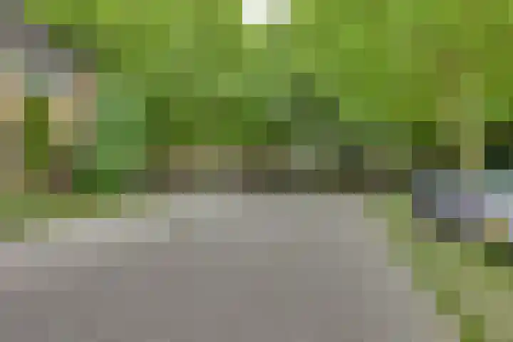 Melde 7 Kampen thumbnail 10