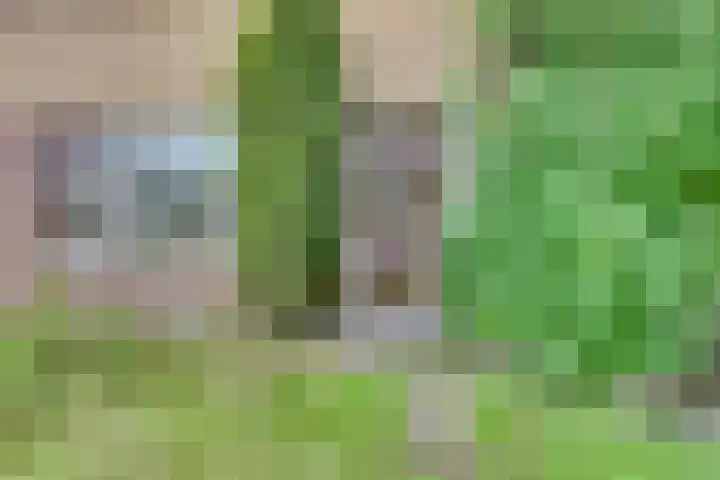 Melde 7 Kampen thumbnail 11