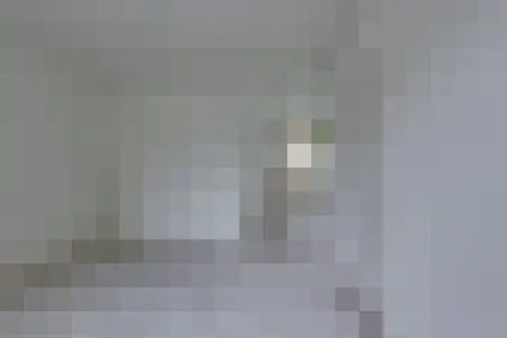 Melde 7 Kampen thumbnail 18