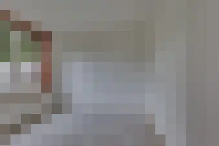 Melde 7 Kampen thumbnail 19