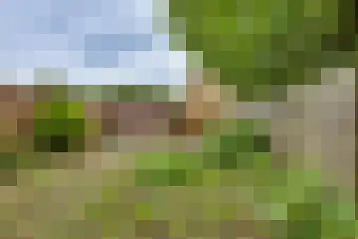 Melde 7 Kampen thumbnail 23