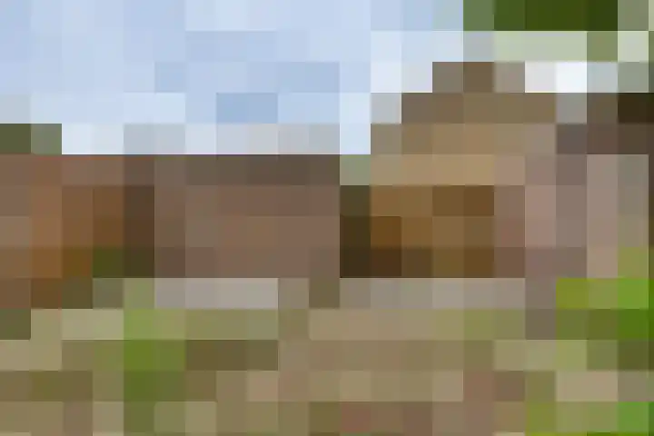 Melde 7 Kampen thumbnail 25