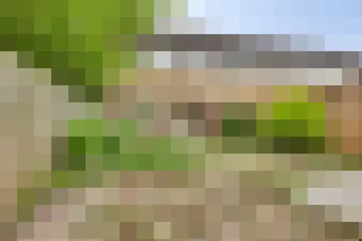 Melde 7 Kampen thumbnail 26