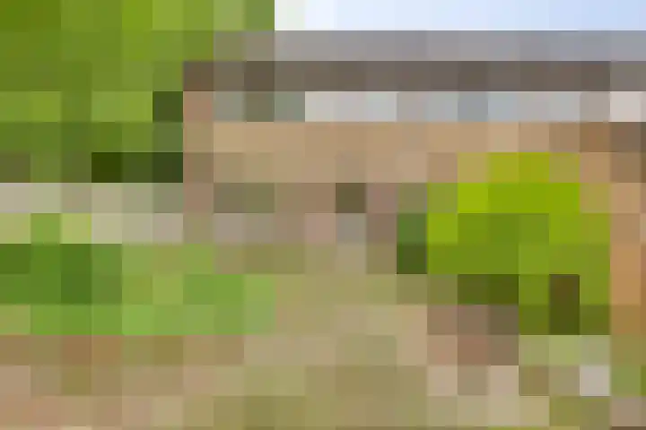 Melde 7 Kampen thumbnail 27