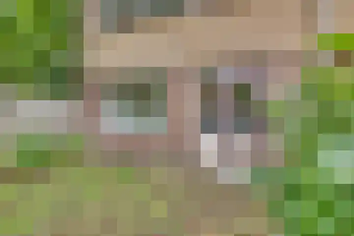 Melde 7 Kampen thumbnail 28