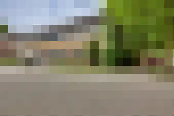 Melde 7 Kampen thumbnail 6