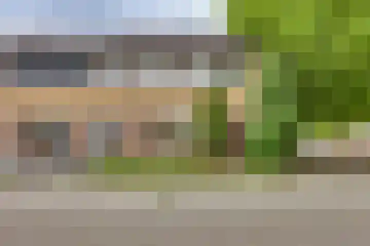 Melde 7 Kampen thumbnail 8