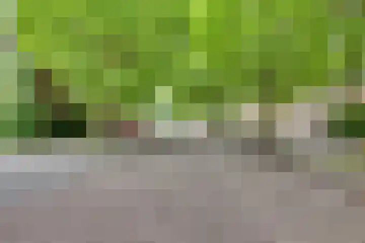 Melde 7 Kampen thumbnail 9