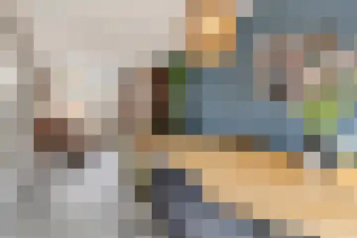Melde 7 Udenhout thumbnail 10