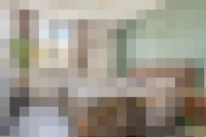 Melde 7 Udenhout thumbnail 19