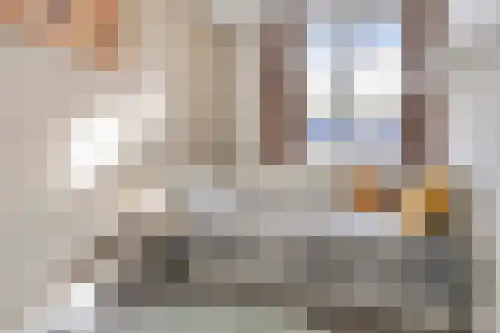 Melde 7 Udenhout thumbnail 21