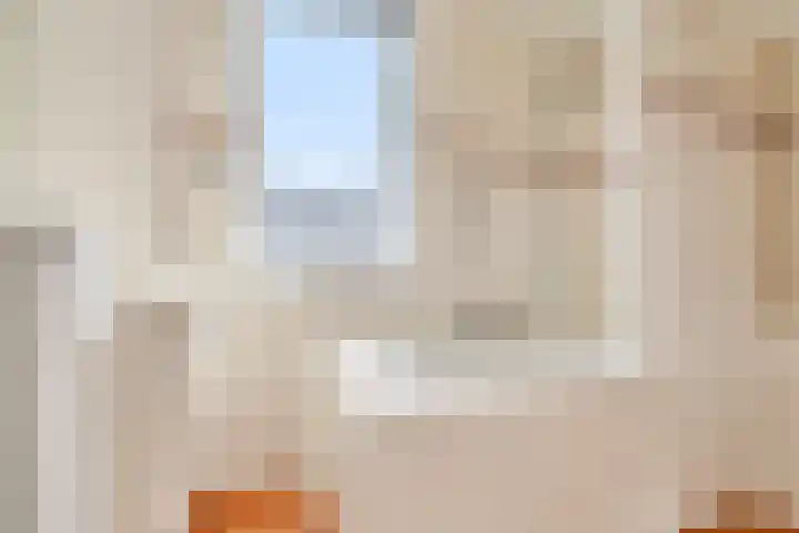 Melde 7 Udenhout thumbnail 23