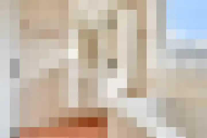 Melde 7 Udenhout thumbnail 25