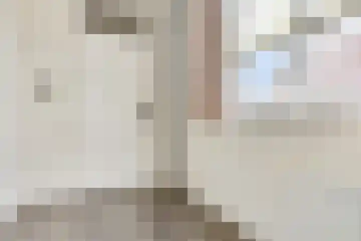Melde 7 Udenhout thumbnail 27