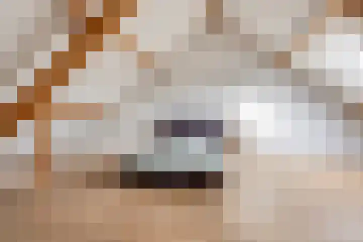 Melde 7 Udenhout thumbnail 31