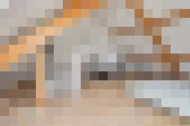 Melde 7 Udenhout thumbnail 32