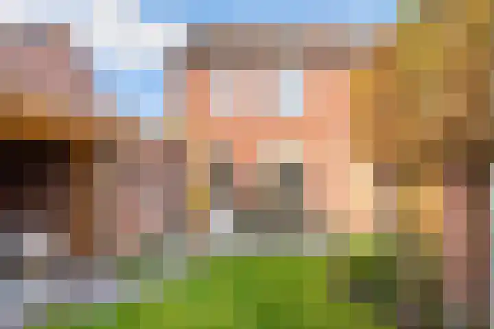 Melde 7 Udenhout thumbnail 34