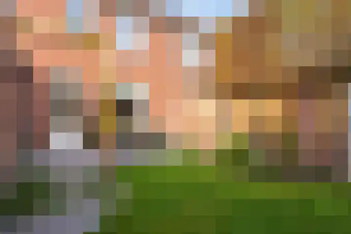 Melde 7 Udenhout thumbnail 35