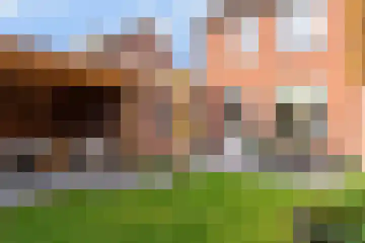 Melde 7 Udenhout thumbnail 36