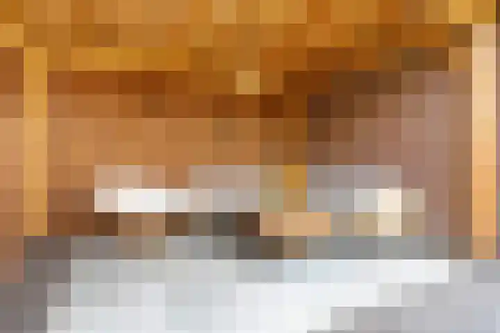 Melde 7 Udenhout thumbnail 37