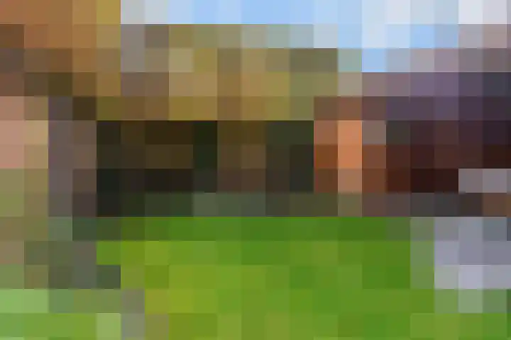 Melde 7 Udenhout thumbnail 38